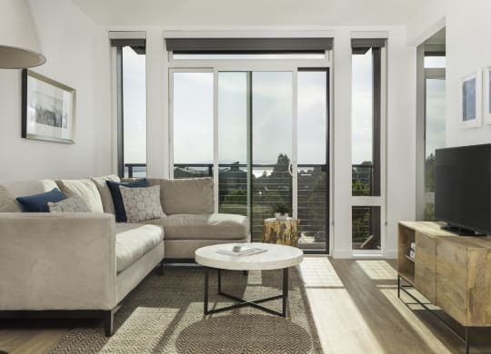 4730 California Apartments Model Living Room Floor-to-Ceiling Windows