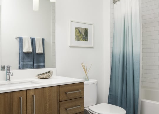 4730 California Apartments Bathroom Modern, Flat-Panel Cabinets