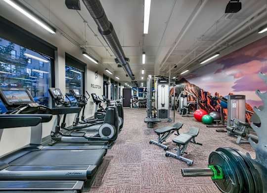 A gym with treadmills, weights and exercise balls.