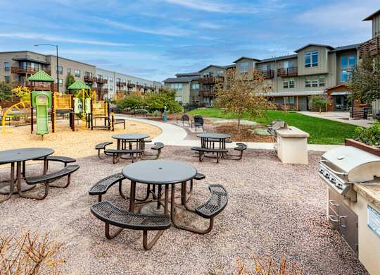 A playground with a swing set and picnic tables.