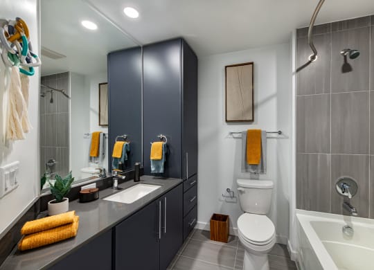 a bathroom with a sink and a toilet and a shower