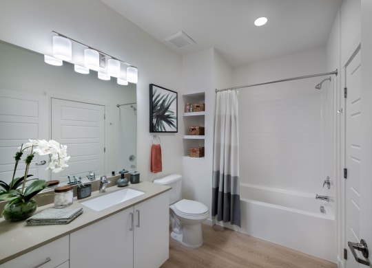 a bathroom with a shower and a sink and a toilet