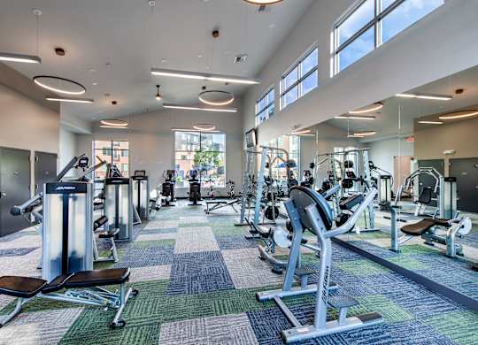 A gym with a variety of equipment and a blue and green carpet.