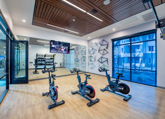 a gym with exercise bikes and a tv on the wall