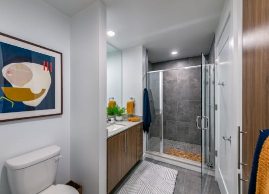a bathroom with a shower and a toilet and a sink