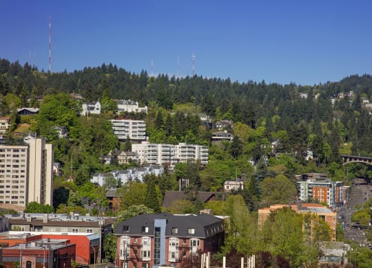 a city with trees and buildings on a hill