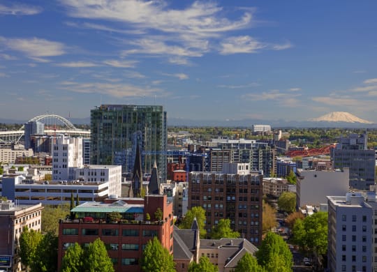 a view of the city with a mountain in the background