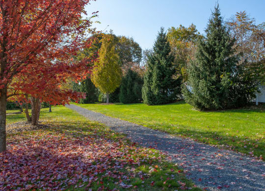Walking & Bike Trails