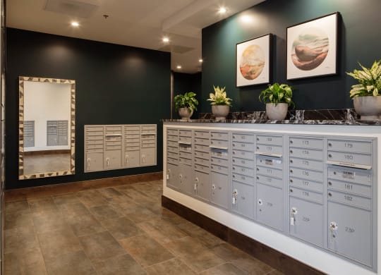 Tempo PDX Mail Area