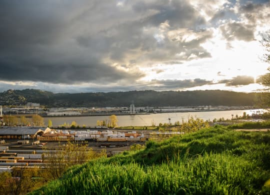 a view of a harbor with a river and a city in the background