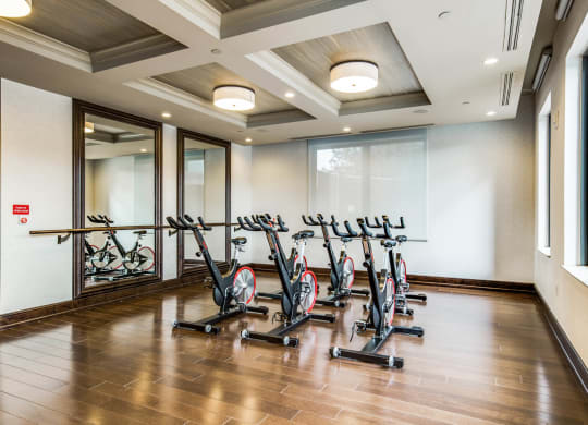 Yoga & Spin Studio