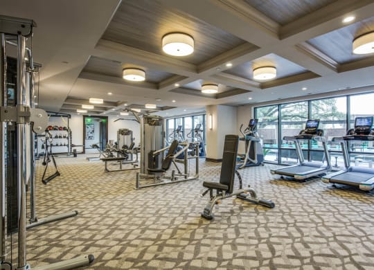 Strength and Cardio Fitness Center