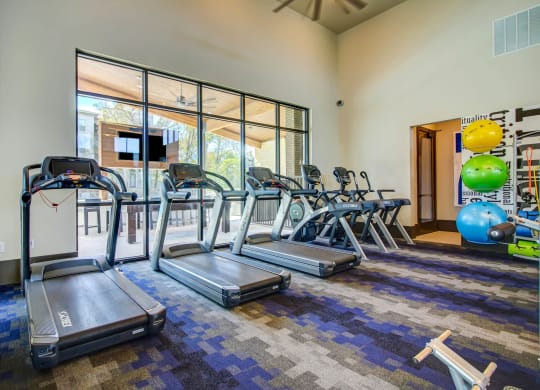 Wellness Center