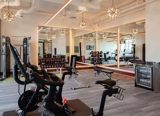 A gym with a variety of exercise equipment including treadmills, stationary bikes, and weight machines.