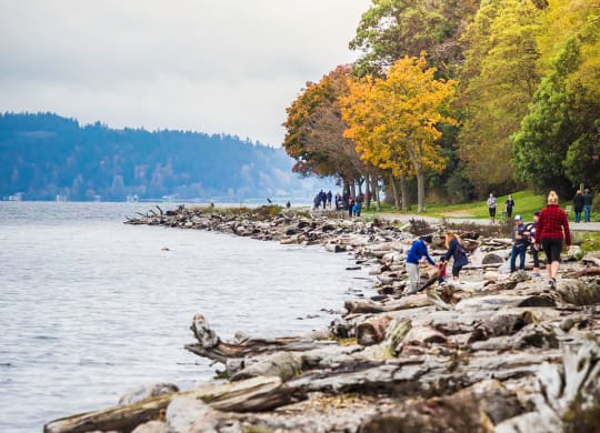 People Walking Along Rocky Shoreline