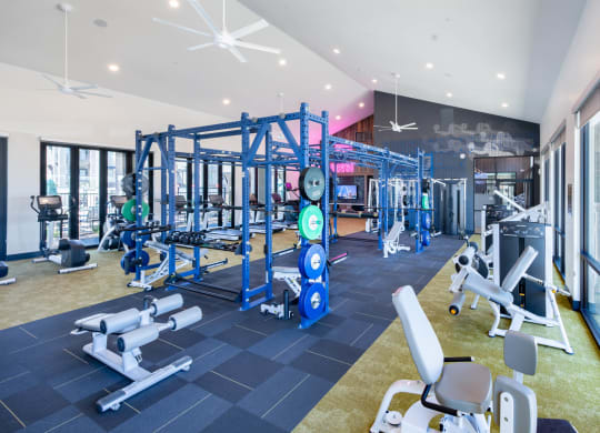 a gym with weights and cardio equipment in aria resort and spa