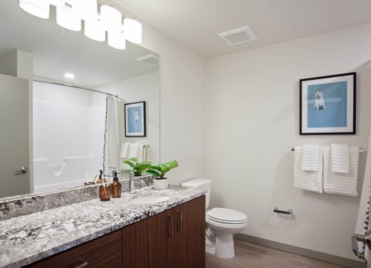 Tempo PDX Model Bathroom