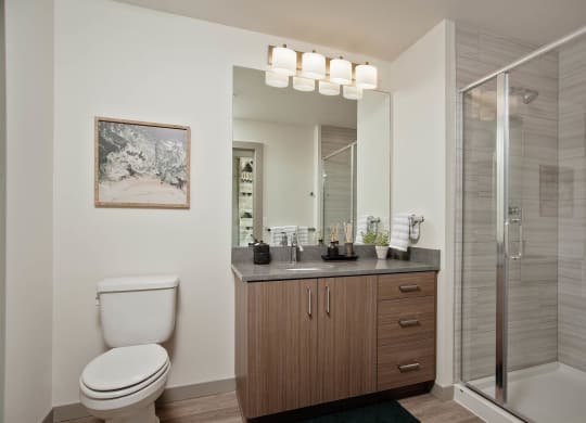 Tempo PDX Model Bathroom