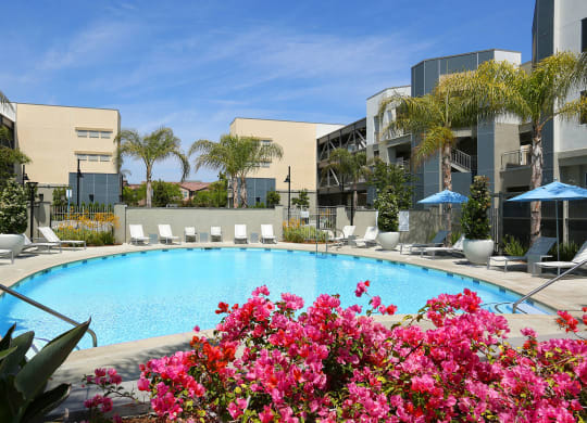 Large Community Pool