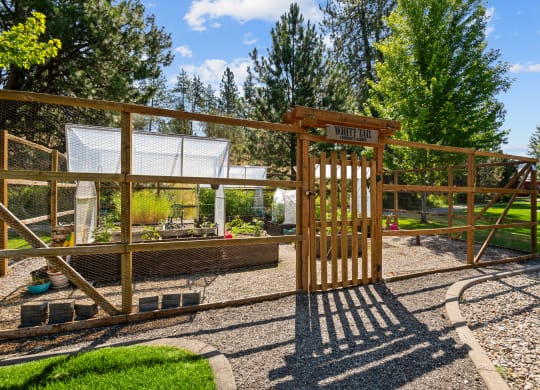 a backyard with a playground and a wooden gate