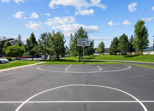 a basketball court in a park with trees
