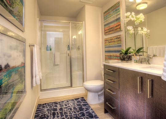 Designer Cabinets and Countertops