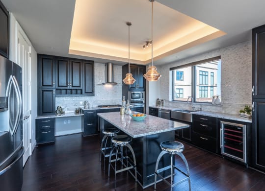 Penthouse Kitchen