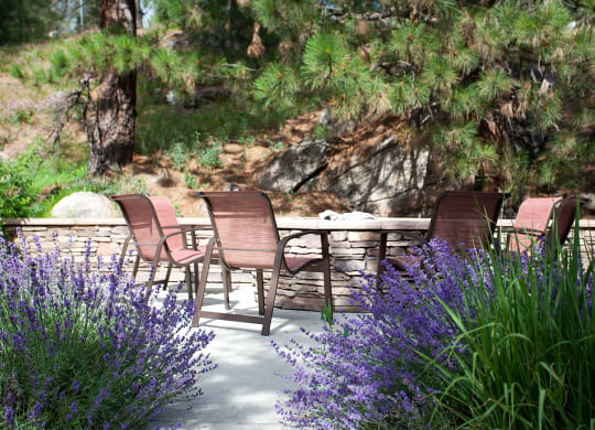 Pine Valley Ranch Apartments Outdoor Fire Pits