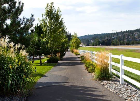 Pine Valley Ranch Apartments Trailhead and Hiking Paths