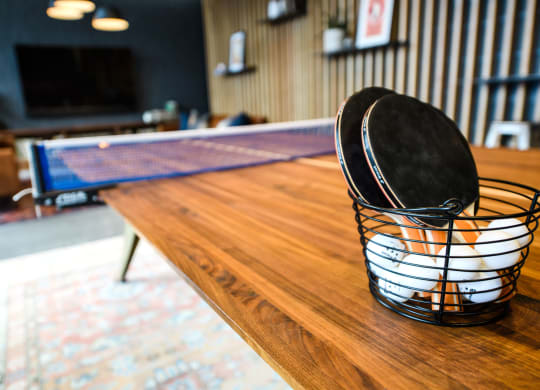 Welcome to the underbelly of ping-pong where fortunes are won and lost.