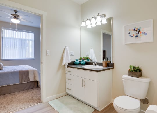 River House Apartments Bathroom and Vanity