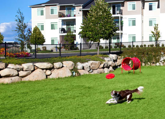 River House Apartments Dog Park