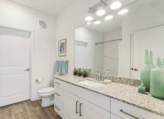 Well-Appointed Bathrooms