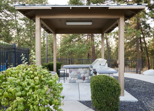 BBQ Grills