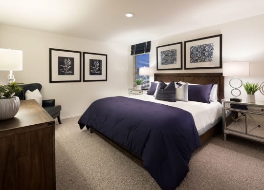 Large Bedrooms