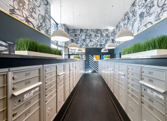 Mail Room with Package Lockers