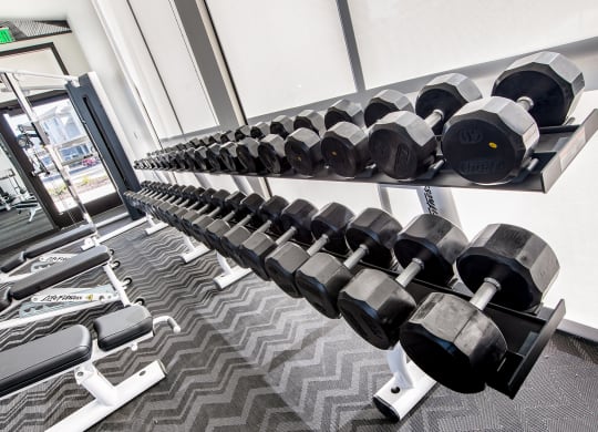 24-Hour Fitness Studio