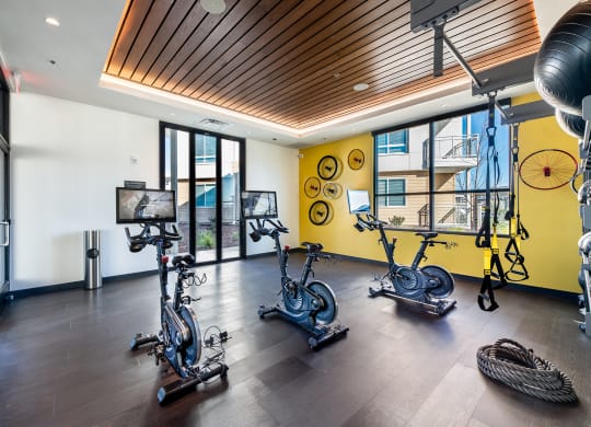 Yoga & Spin Room