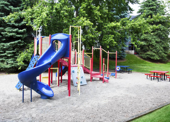 The Whimsical Pig Apartments Playground