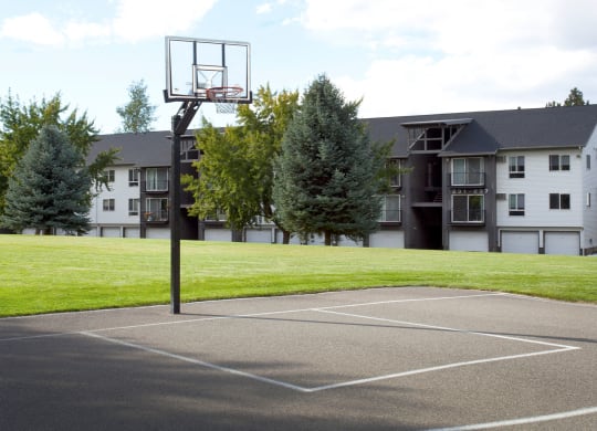 Whimsical Pig Apartments Basketball Court