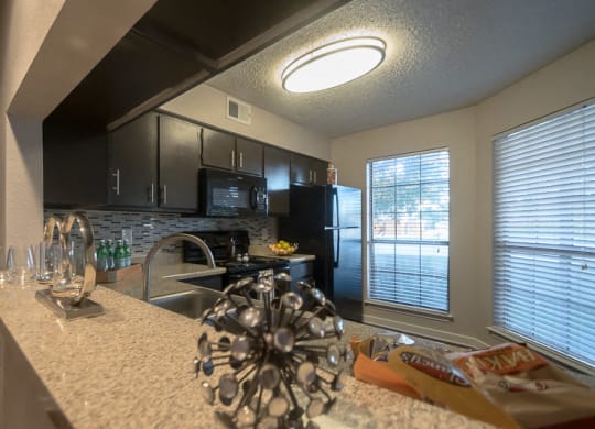 Contemporary Apartment Home