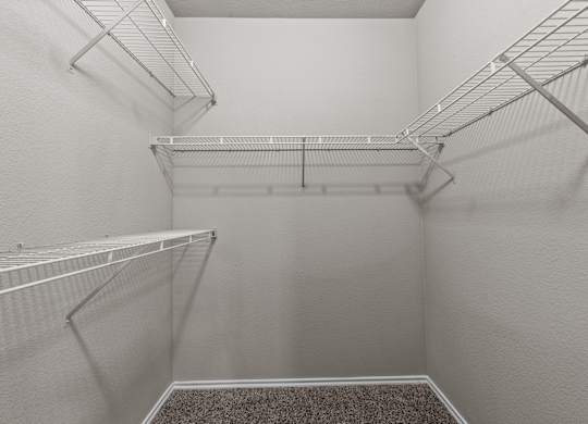 Empty walk-in closet with shelves and carpeted floor.