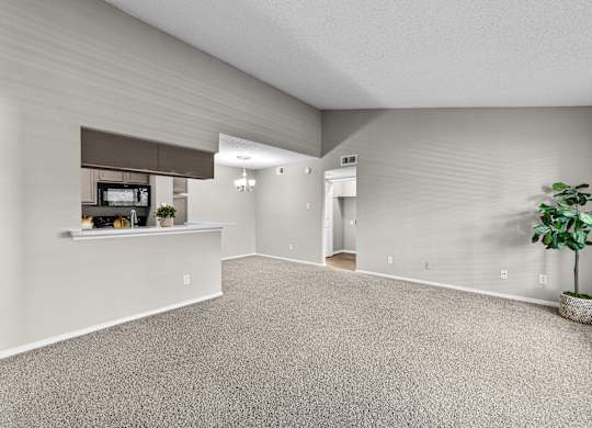 A room with a carpeted floor and a plant in a pot.