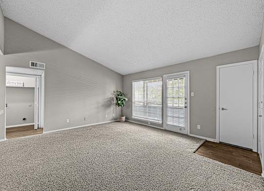 A room with a carpeted floor and a plant in a pot.