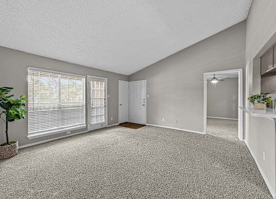 A room with a carpeted floor and a potted plant on the left.