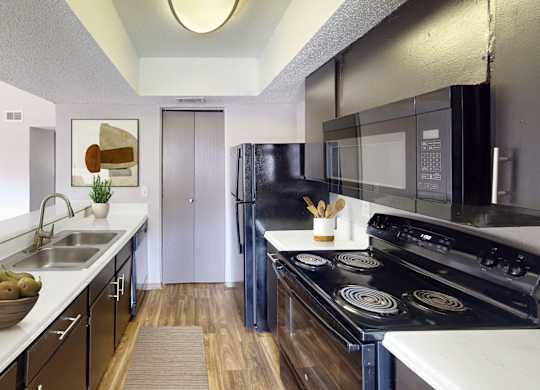 A modern kitchen with black appliances and a bowl of fruit on the counter.