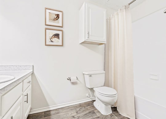 a bathroom with a shower and a toilet and a sink