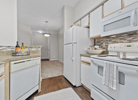 Standard Package Apartment Home - C Floor Plan
