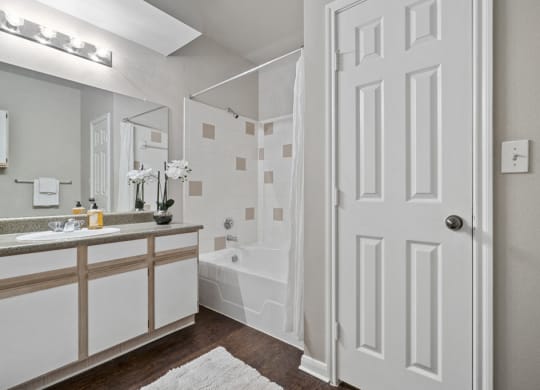 Standard Package Apartment Home - C Floor Plan