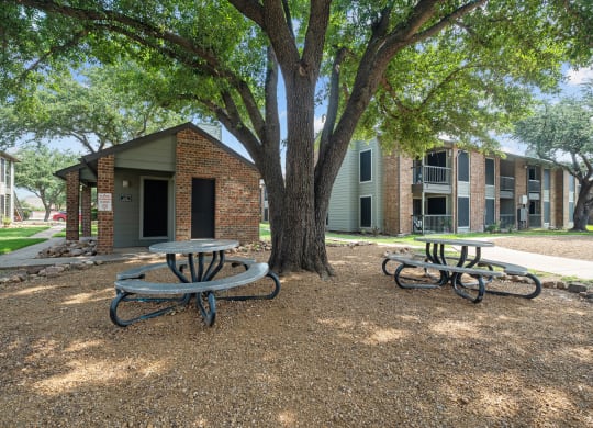 a picnic area with two tables and a tree in front of a brick building